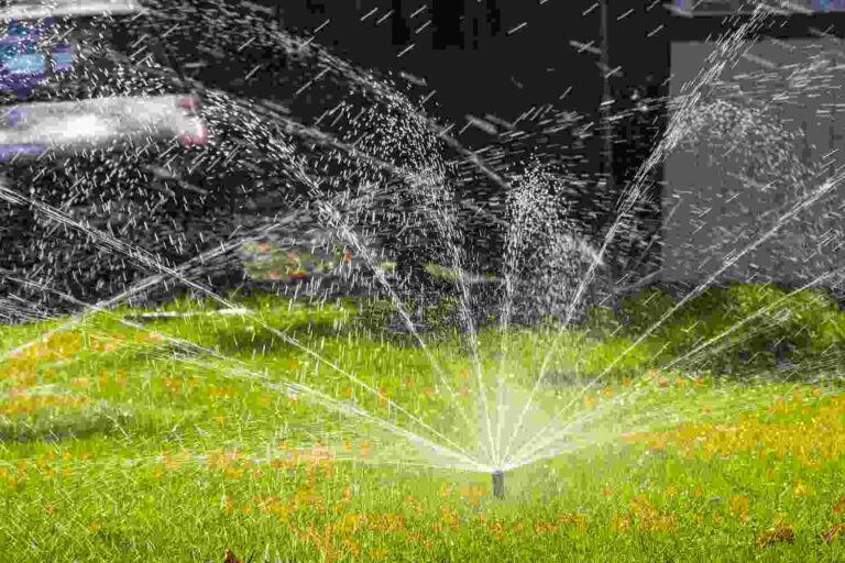 Sacramento’s watering schedule changes Nov. 1: Here’s what you need to know